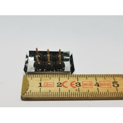 Kandiseret bler (nye) 