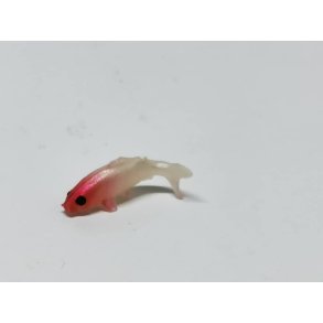 Meget lille fisk i plastik (ny)