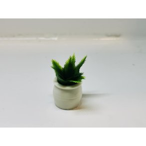 Grn plante i potte (ny)