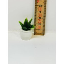 Grn plante i potte (ny)