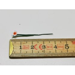 Pinselilje (hndlavet) PR STK