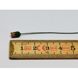 Gammelrosa Rost (ny) PR STK 