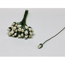 Hvid Rose (ny) PR STk