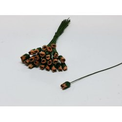 Gammelrosa Rost (ny) PR STK 