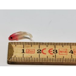 Meget lille fisk i plastik (ny)