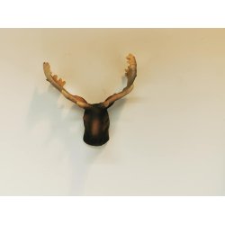 Elg hoved i resin (nyt)