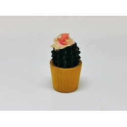 Kaktus med blomst (gammel)