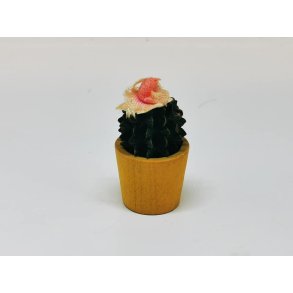 Kaktus med blomst (gammel)