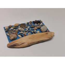 Strand billede (brugt)