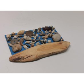 Strand billede (brugt)