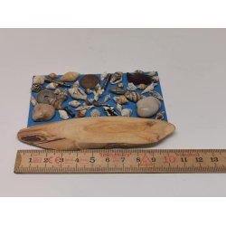 Strand billede (brugt)