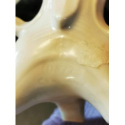 Bord med kande og kopper i porceln (antik)