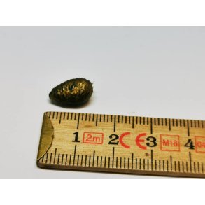 Grankogle i plastik (brugt)