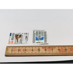 Jyllands posten (hndlavet)