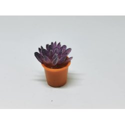 Sukkulent i resin (ny)