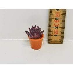 Sukkulent i resin (ny)
