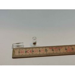 Glas med blomster (rigtig glas) (brugt)