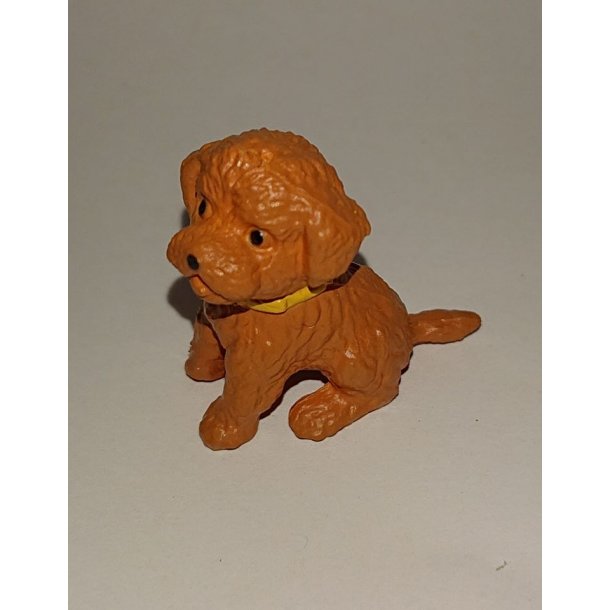 evne højdepunkt Havn Pudelhund (brugt) - Hunde - Frost miniature