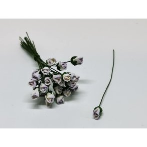 Lyslilla Rose (ny) PR STK