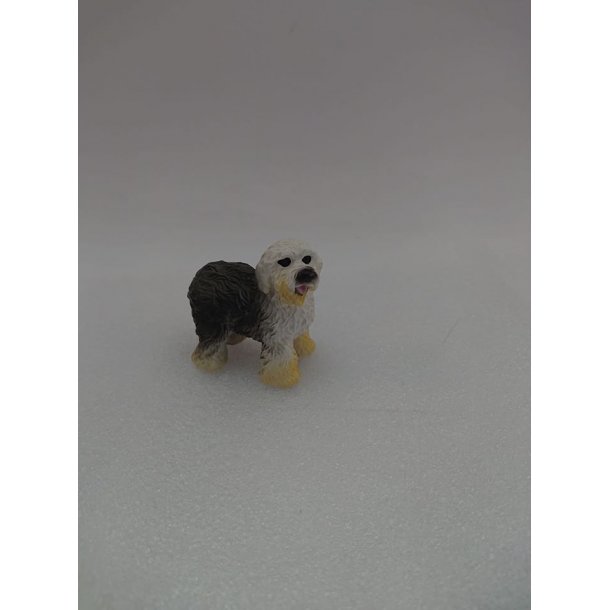 Nord ønske amatør Hund (brugt) - Hunde - Frost miniature