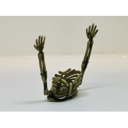 Skelet krop og arme i plastik (brugt)