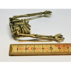 Skelet krop og arme i plastik (brugt)