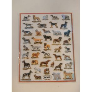 Plakat med hunde (ny)