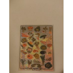 Plakat med grntsager (ny)