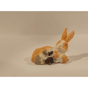 Kanin med unger (brugt)