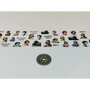 Dekorations ark (nyt) med Elizabeth Tayler