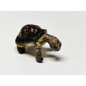 Skildpadde i porceln (ny)