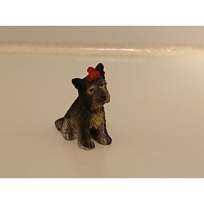 Yorkshire terrier hund (ny)