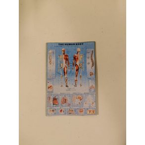 Skole og andet til uddannelse