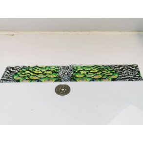 Dekorations ark fugle